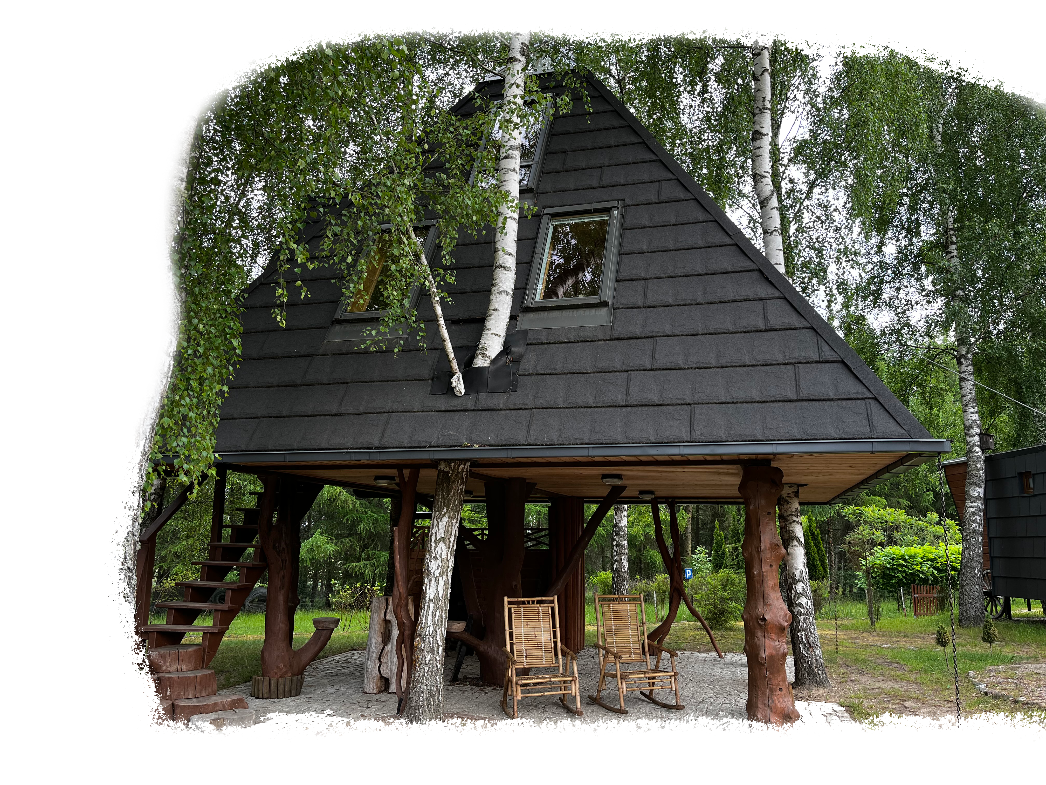 Piramida na drzewie w lesie