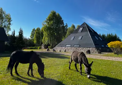 Zdjęcie 14
