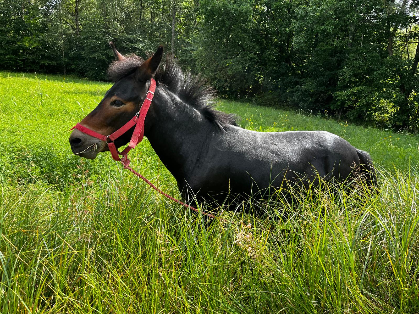 Z wiatrem we włosach