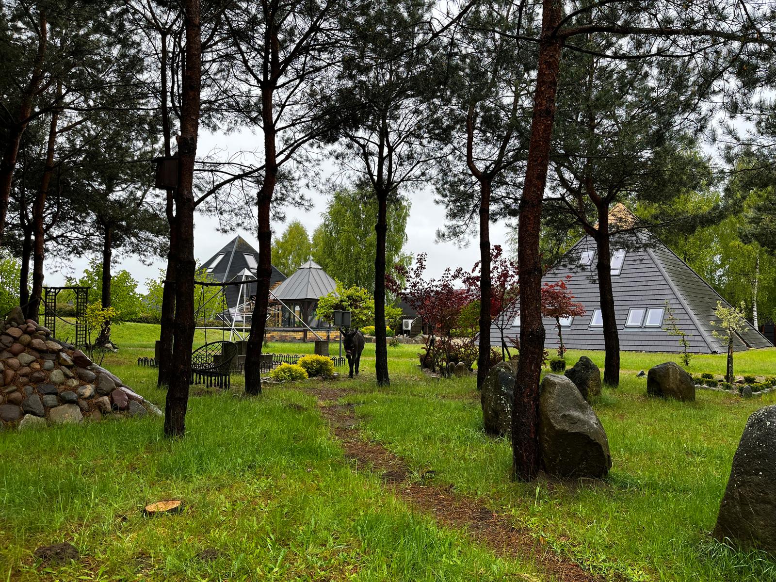 Cisza koi, przyroda tuli