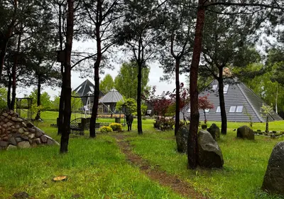 Cisza koi, przyroda tuli
